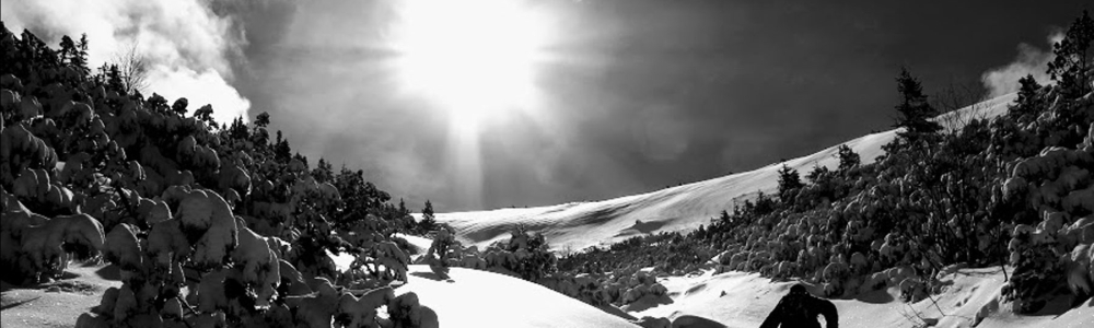 User banner image